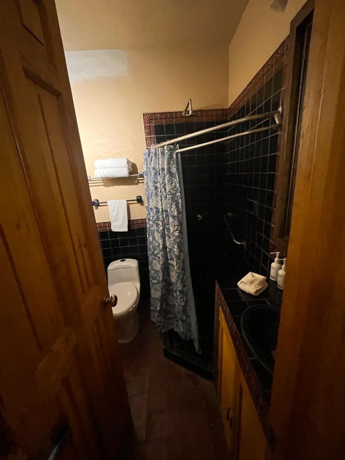 Hotel Antigua Casa De Piedra サン・ミゲル・デ・アジェンデ エクステリア 写真